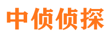 乐东市侦探调查公司